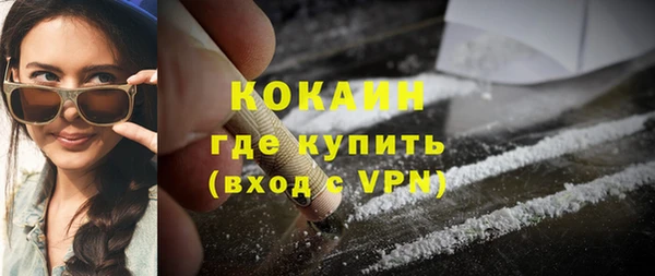 твердый Каменка
