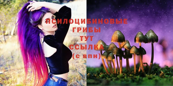 твердый Каменка