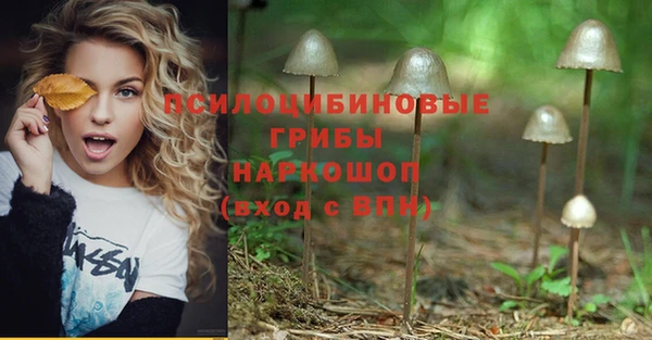 гашишное масло Каменногорск