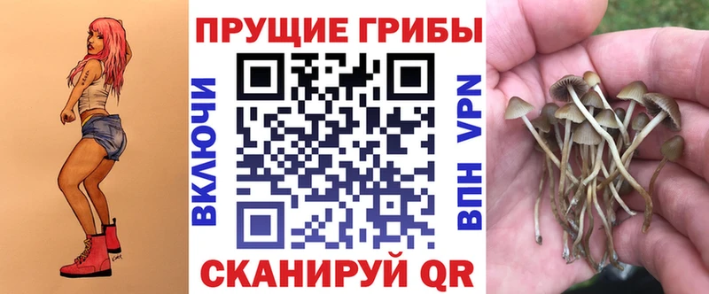 Псилоцибиновые грибы мицелий  закладка  Мантурово 